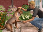 Los Sims 2 Mascotas