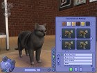 Los Sims 2 Mascotas