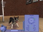 Los Sims 2 Mascotas