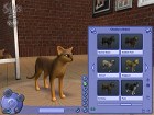 Los Sims 2 Mascotas