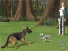 Los Sims 2 Mascotas