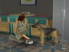 Los Sims 2 Mascotas