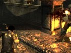 Dark Sector
