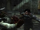 Dark Sector