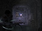 Dark Sector