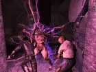 Dark Sector