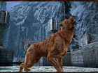 Dragon Age: Origins