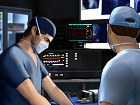 Anatom&iacute;a de Grey: El videojuego