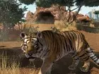 Zoo Tycoon - Pantalla