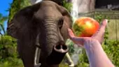 Zoo Tycoon: Trailer Anuncio