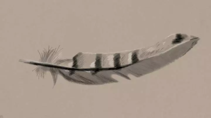 Art Academy SketchPad