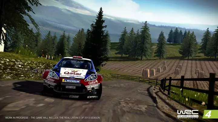 WRC 4 - PC
