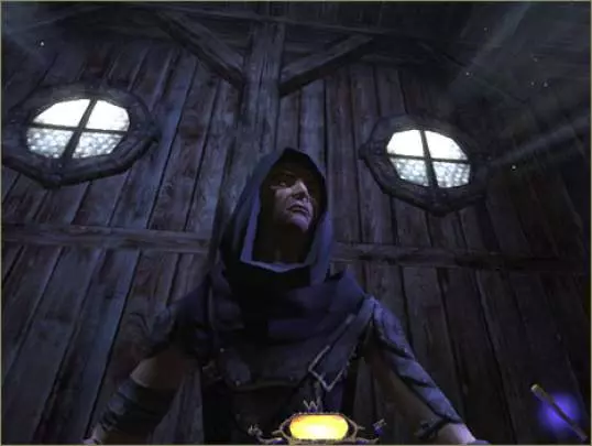 Thief Deadly Shadows