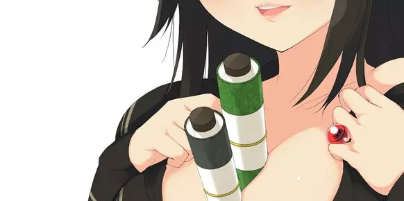 Senran Kagura: Shinovi Versus Senran Kagura: Shinovi Versus