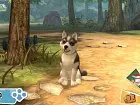 PlayStation Vita Pets - Imagen Vita