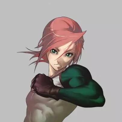 Yatagarasu Attack on Cataclysm