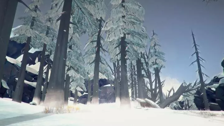 The Long Dark