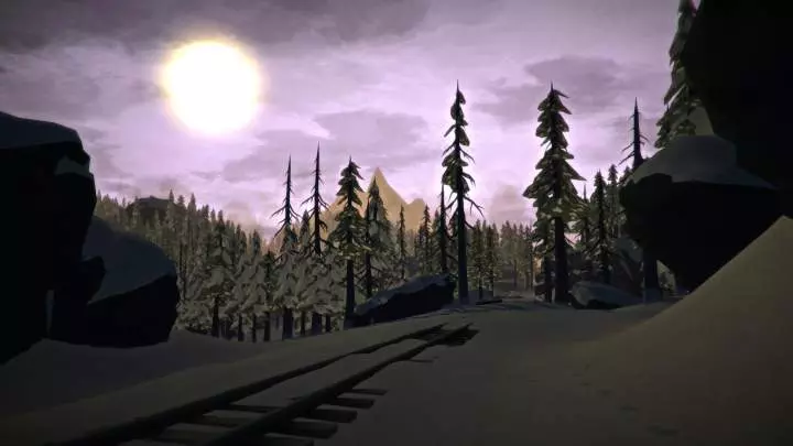 The Long Dark