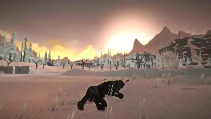 The Long Dark