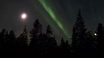 The Long Dark: Elegy: Un poema visual