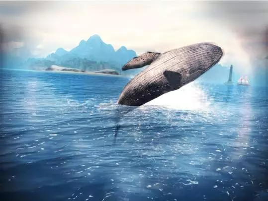 Assassin's Creed Pirates