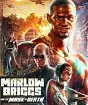 Marlow Briggs and the Mask of Death PC