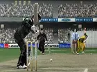 Cricket 2005 - Pantalla