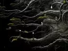 Samorost 3 - Pantalla