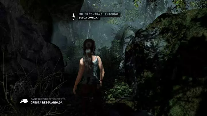 Tomb Raider Definitive Edition
