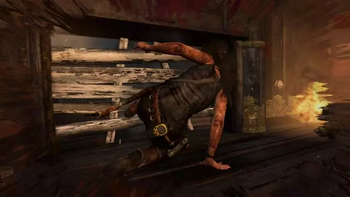 Tomb Raider: Definitive Edition