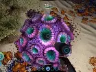 Subnautica 