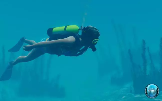 World of Diving