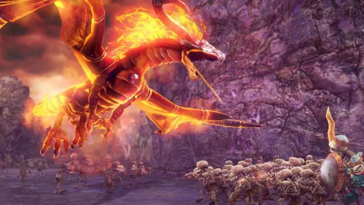 Hyrule Warriors - Wii U