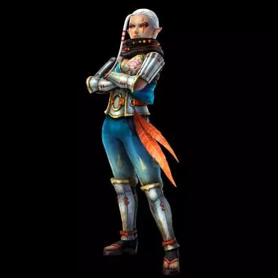 Hyrule Warriors - Wii U