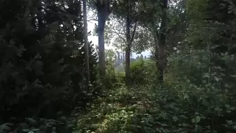 Los bosques de Kingdom Come Deliverance lucen más realistas que nunca gracias al raytracing
