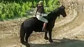 Kingdom Come Deliverance: Horses