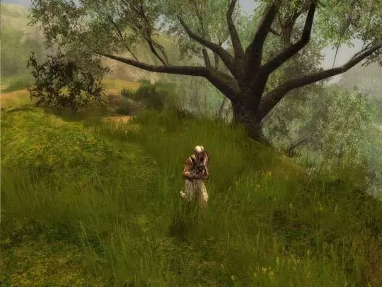 Neverwinter Nights 2 - PC