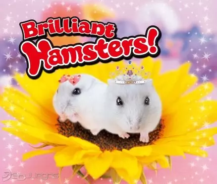 Carátula de Brilliant Hamsters!
