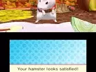 Brilliant Hamsters! - Imagen 3DS
