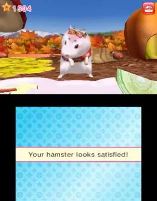 Brilliant Hamsters!