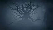 Kholat: Tráiler de Lanzamiento