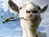 Goat Simulator