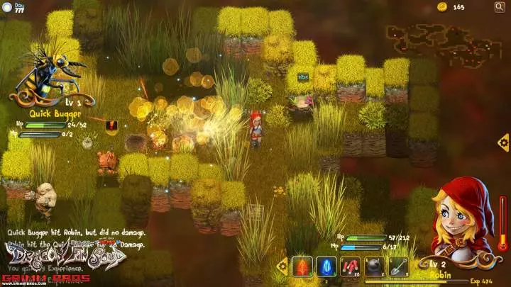 Dragon Fin Soup - PC