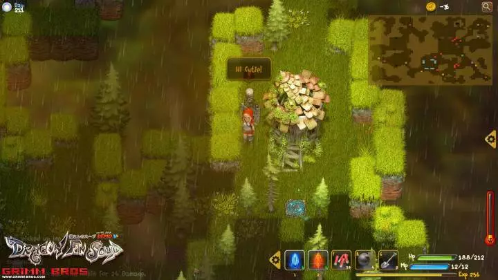 Dragon Fin Soup - PC