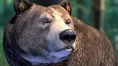Bear Simulator: Tráiler de Lanzamiento