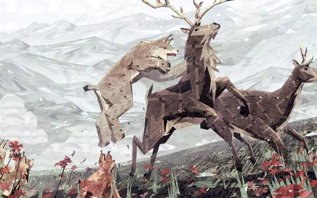 Shelter 2 - Might & Delight