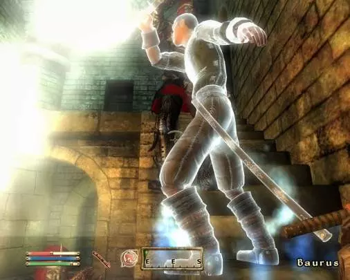 The Elder Scrolls IV: Oblivion