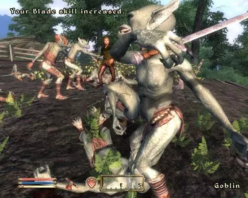 The Elder Scrolls IV: Oblivion