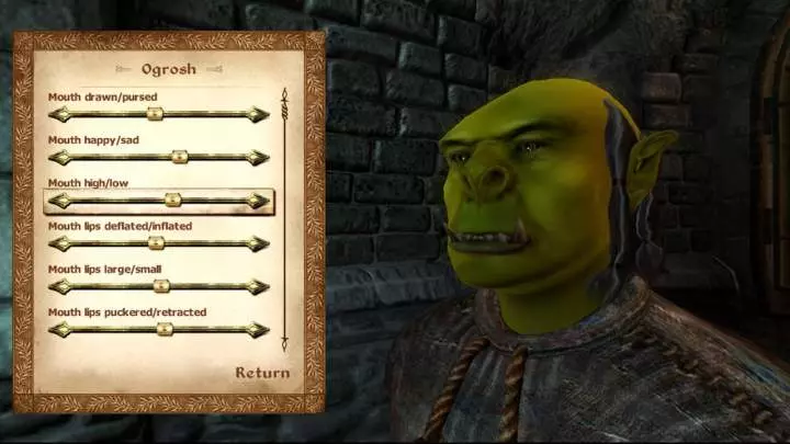 The Elder Scrolls IV Oblivion