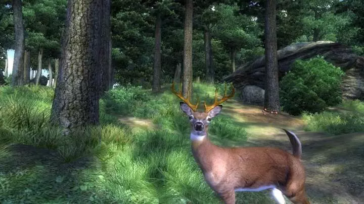 The Elder Scrolls IV Oblivion